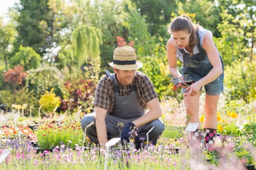 Person reviewing a landscaping complaint form