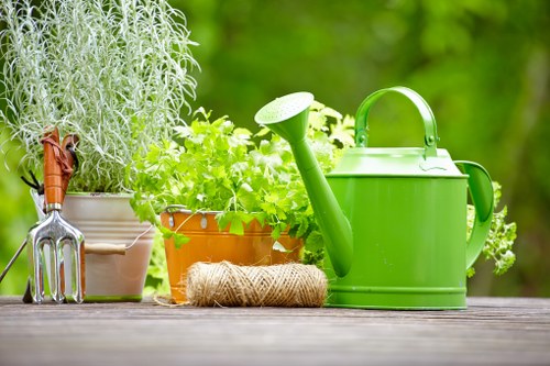 Soft and hard landscaping features for a small urban garden