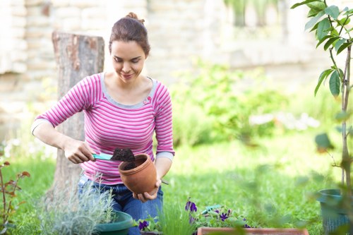 Professional reviewing a site issue during landscaping