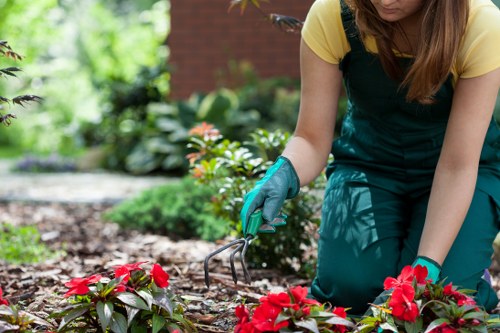 Evening lighting in a Soho garden with soft illumination and privacy screening