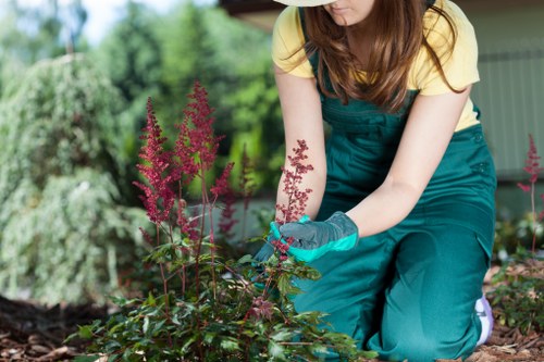 Staff training and PPE used during safe landscaping work