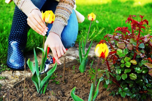 Supplier audit checklist for Soho landscaping operations