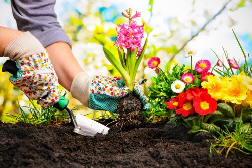 Waste removal and site clearance during landscaping work